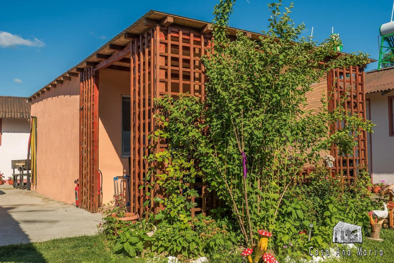 Casa Ana Maria Villa Vama Veche Eksteriør bilde