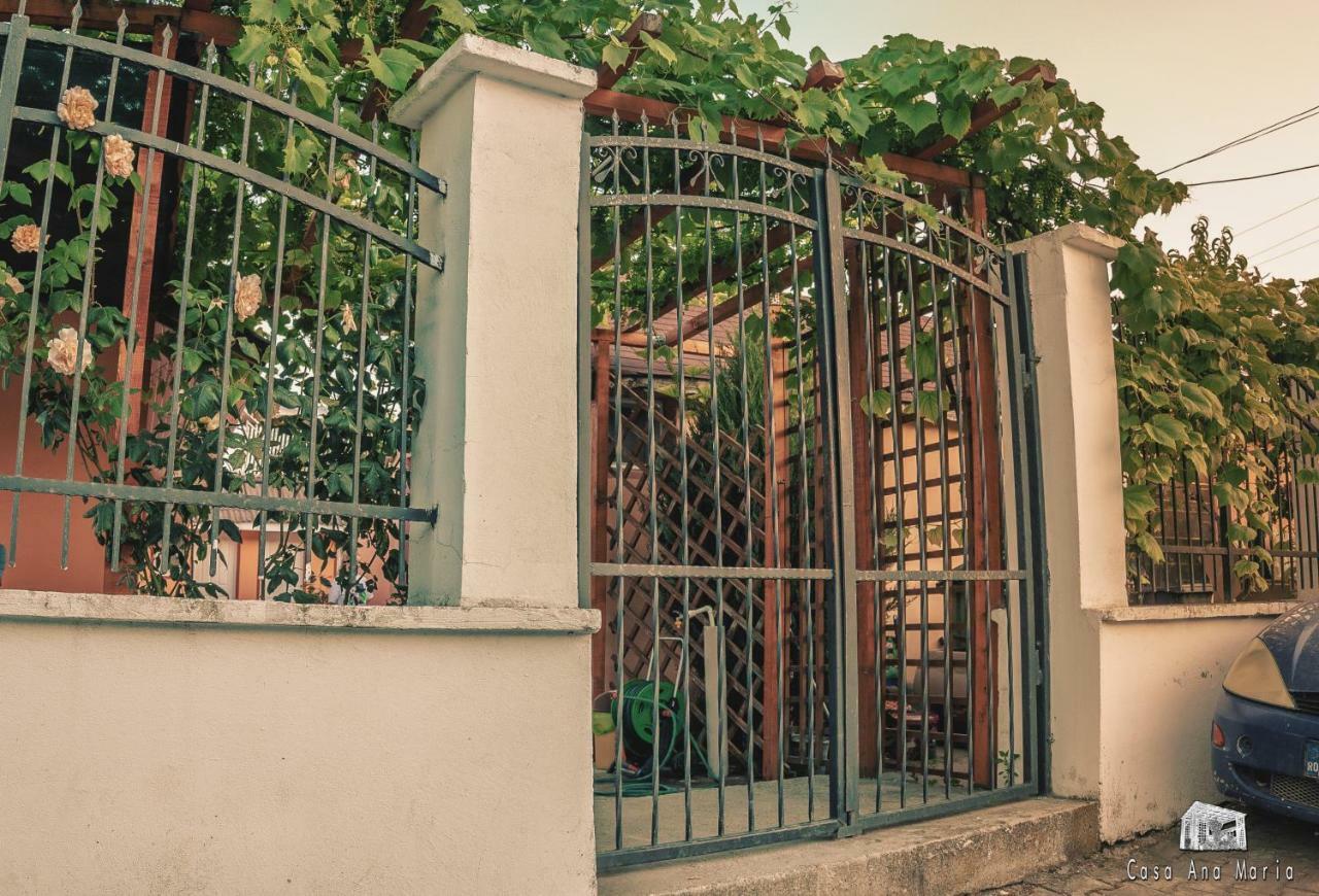 Casa Ana Maria Villa Vama Veche Eksteriør bilde